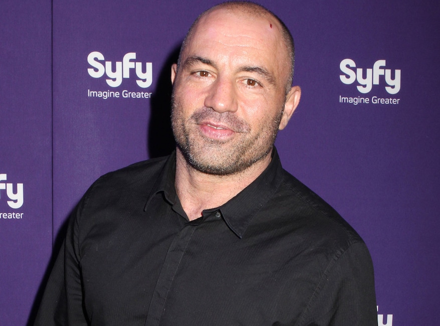 Joe Rogan : Joe Rogan's great media revolution, now brought to you by Joe Rogan : Joe Rogan's great media revolution, now brought to you by